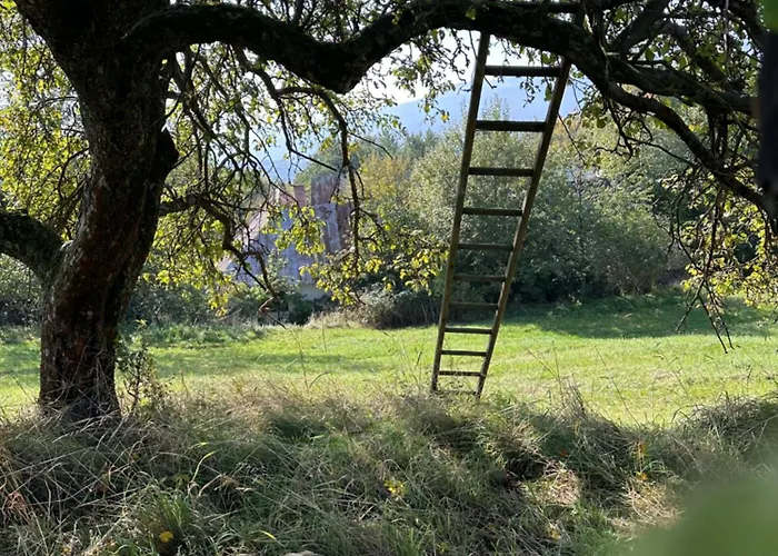 Nadherne Misto Pro Vas Relax V Prirode
